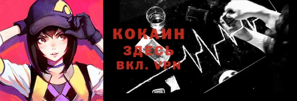 гашик Майский