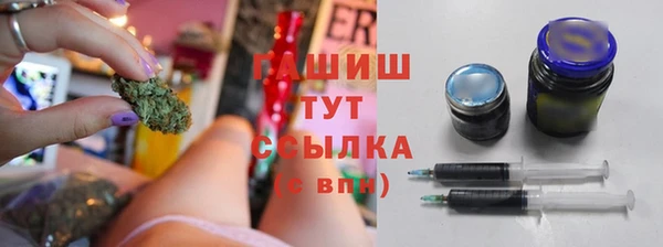 гашик Майский