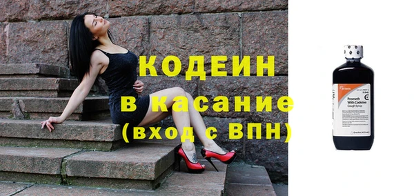 гашик Майский